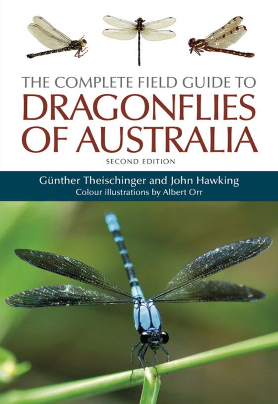 Complete Field Guide to Dragonflies of Australia (e-bog) af Hawking, John