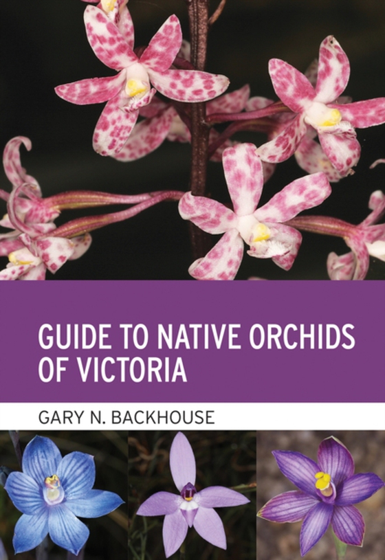 Guide to Native Orchids of Victoria (e-bog) af Backhouse, Gary N.