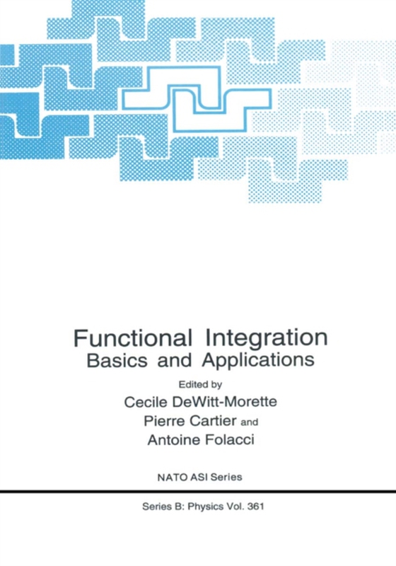 Functional Integration (e-bog) af -