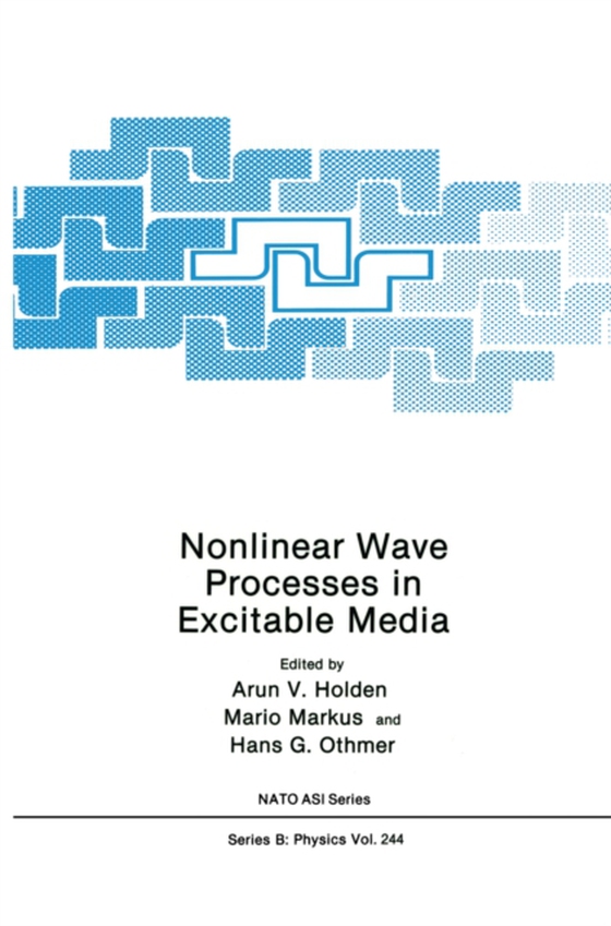 Nonlinear Wave Processes in Excitable Media (e-bog) af -