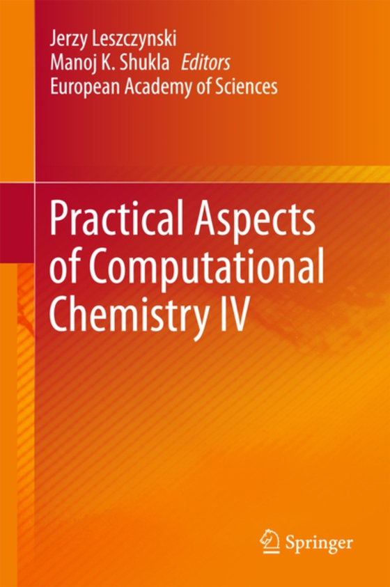 Practical Aspects of Computational Chemistry IV (e-bog) af -