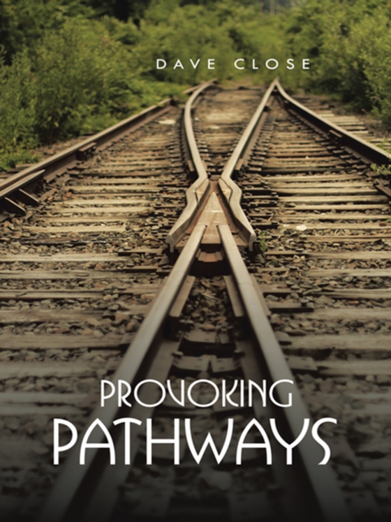 Provoking Pathways