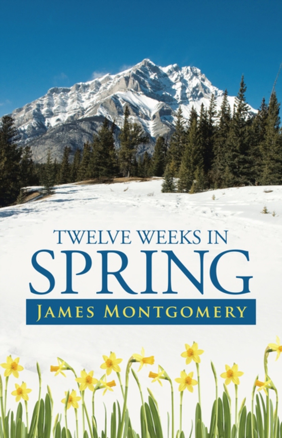 Twelve Weeks in Spring (e-bog) af Montgomery, James