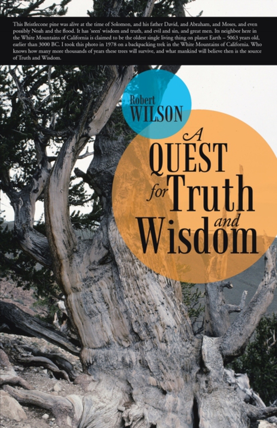 Quest for Truth and Wisdom (e-bog) af Wilson, Robert