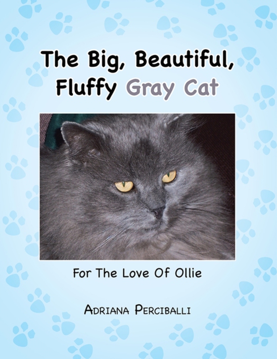 Big, Beautiful, Fluffy Gray Cat (e-bog) af Perciballi, Adriana