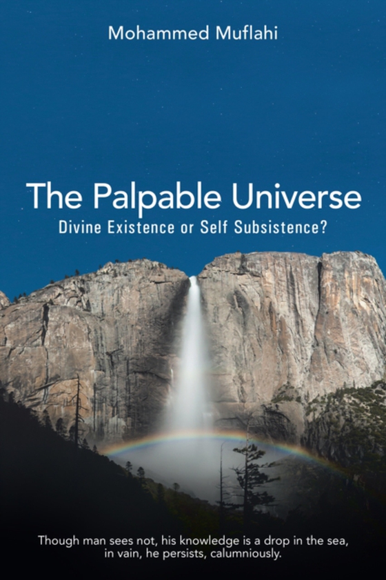 Palpable Universe