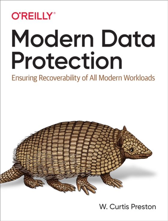 Modern Data Protection (e-bog) af Preston, W. Curtis