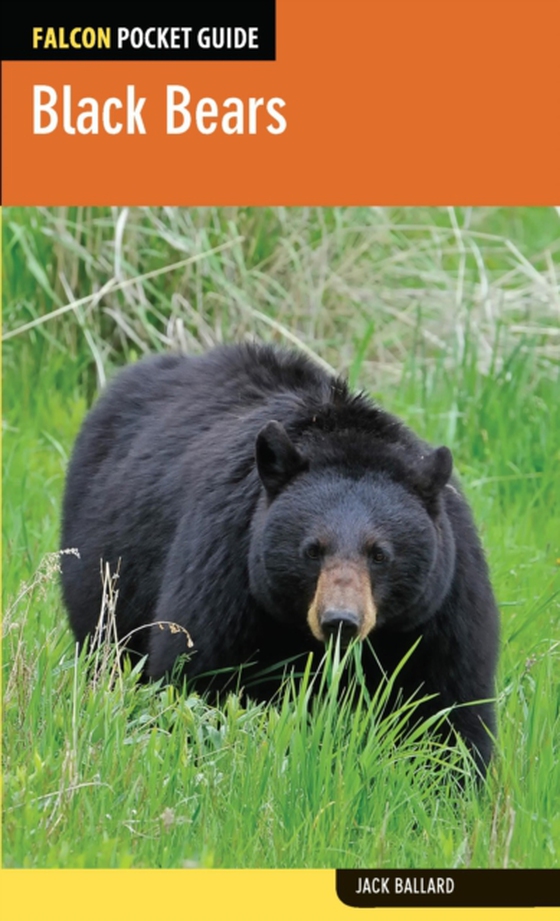 Black Bears (e-bog) af Ballard, Jack