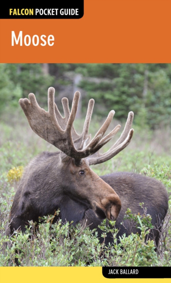 Moose (e-bog) af Ballard, Jack