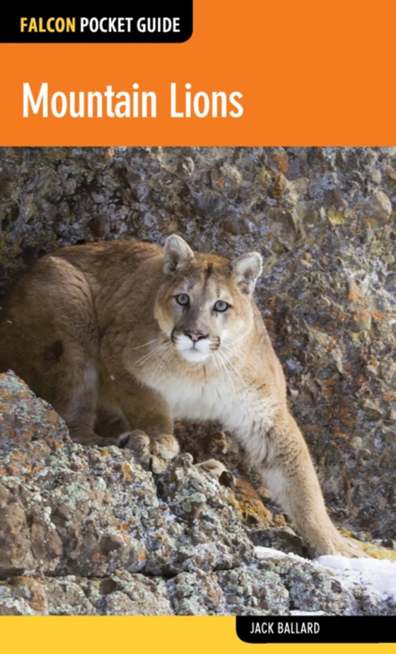 Mountain Lions (e-bog) af Ballard, Jack