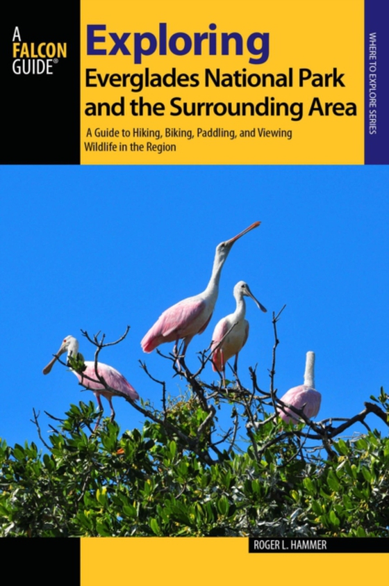 Exploring Everglades National Park and the Surrounding Area (e-bog) af Hammer, Roger L.
