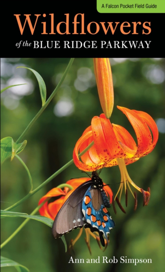 Wildflowers of the Blue Ridge Parkway