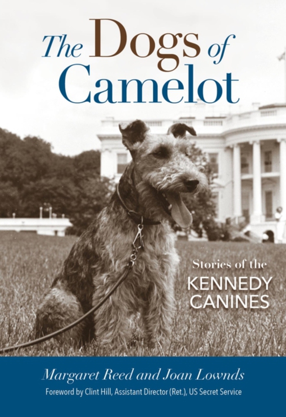 Dogs of Camelot