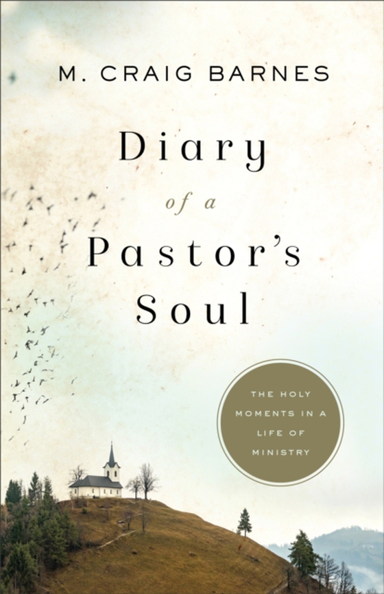 Diary of a Pastor's Soul (e-bog) af Barnes, M. Craig