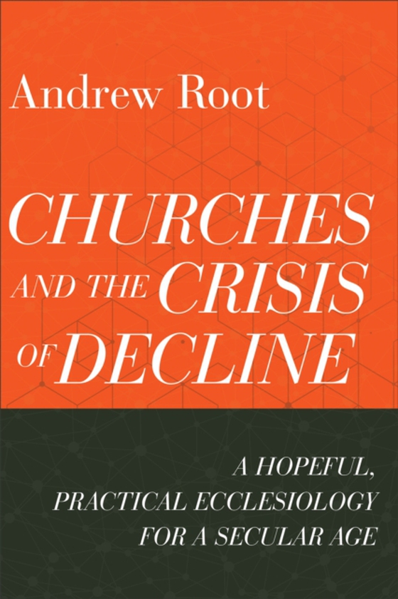 Churches and the Crisis of Decline (Ministry in a Secular Age Book #4) (e-bog) af Root, Andrew