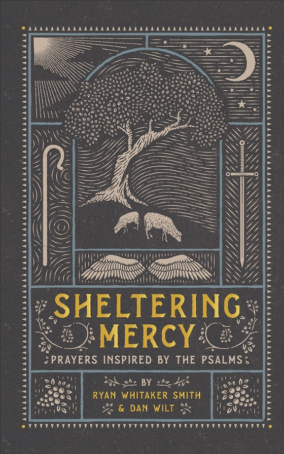 Sheltering Mercy (e-bog) af Wilt, Dan