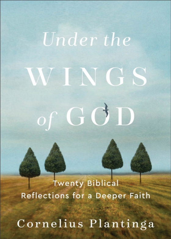 Under the Wings of God (e-bog) af Plantinga, Cornelius