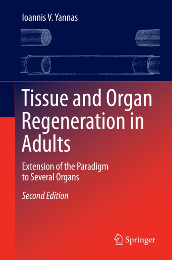 Tissue and Organ Regeneration in Adults (e-bog) af Yannas, Ioannis V.