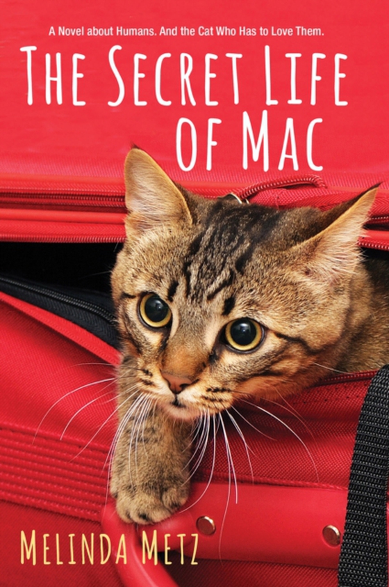 Secret Life of Mac