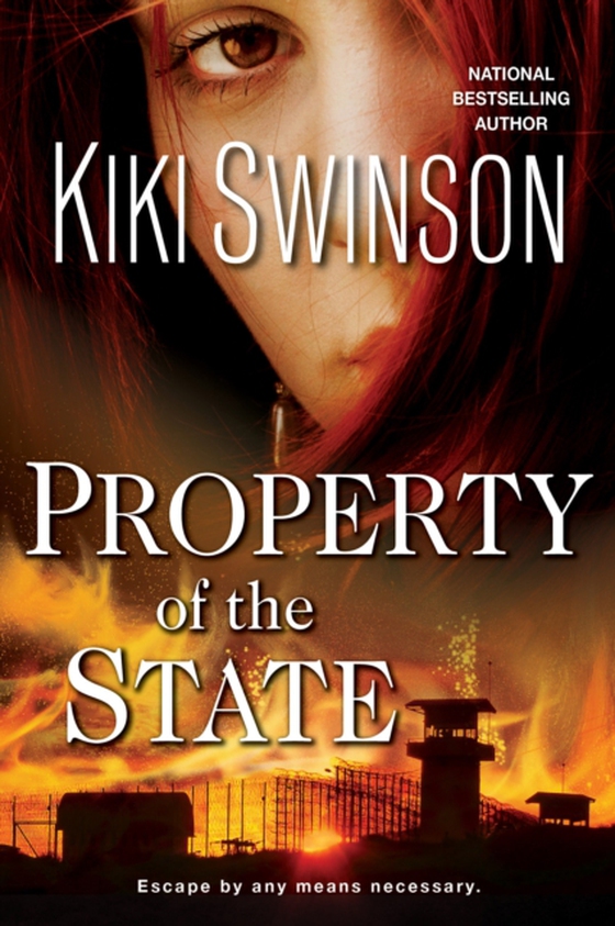 Property of the State (e-bog) af Swinson, Kiki