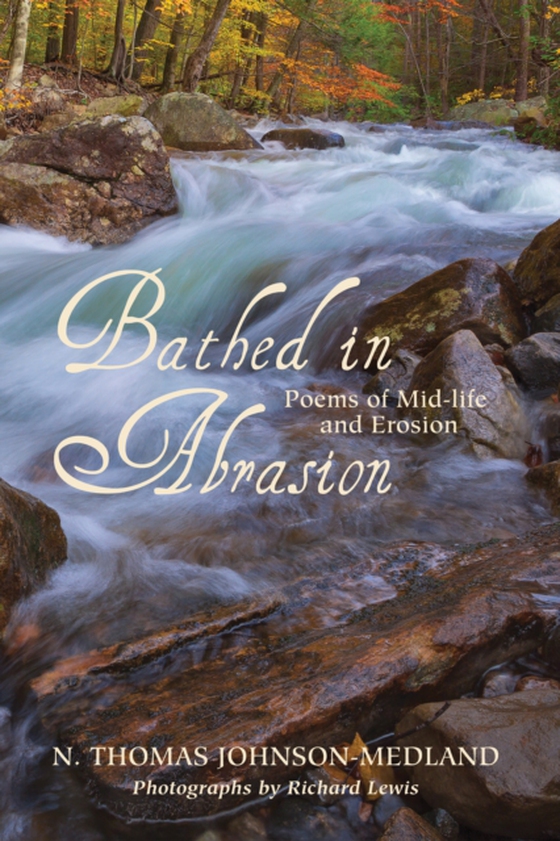 Bathed in Abrasion (e-bog) af Johnson-Medland, N. Thomas