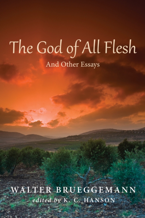 God of All Flesh (e-bog) af Brueggemann, Walter