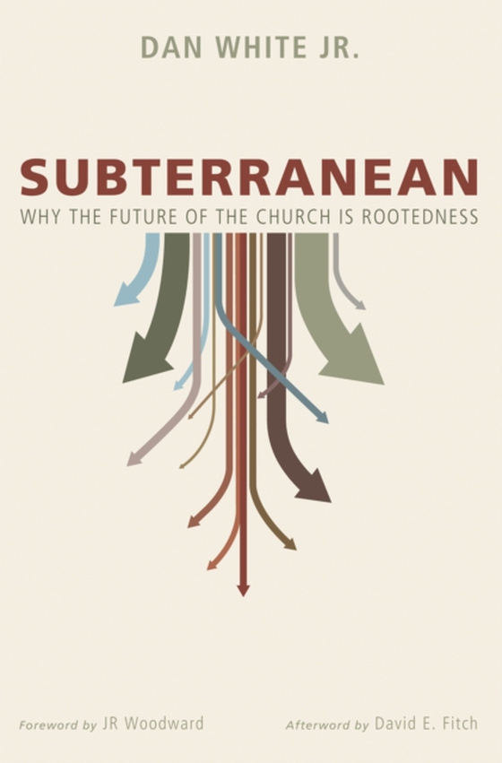 Subterranean (e-bog) af Jr., Dan White