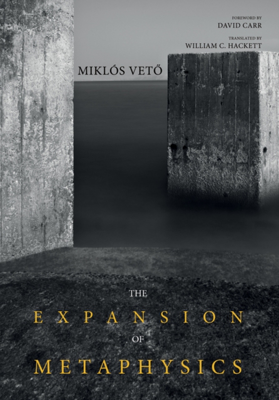 Expansion of Metaphysics (e-bog) af Veto, Miklos