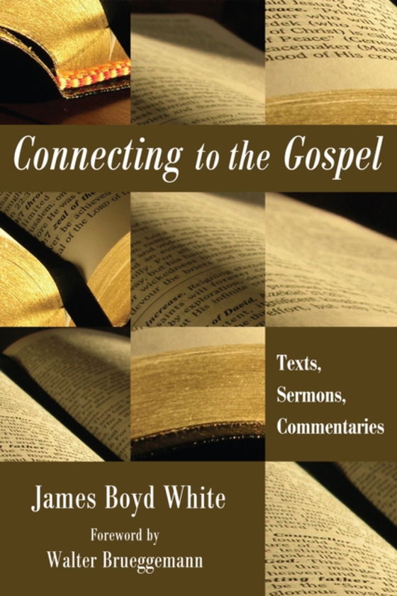 Connecting to the Gospel (e-bog) af White, James Boyd