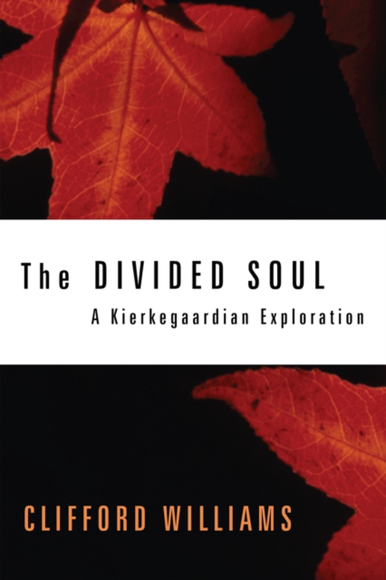 Divided Soul (e-bog) af Williams, Clifford