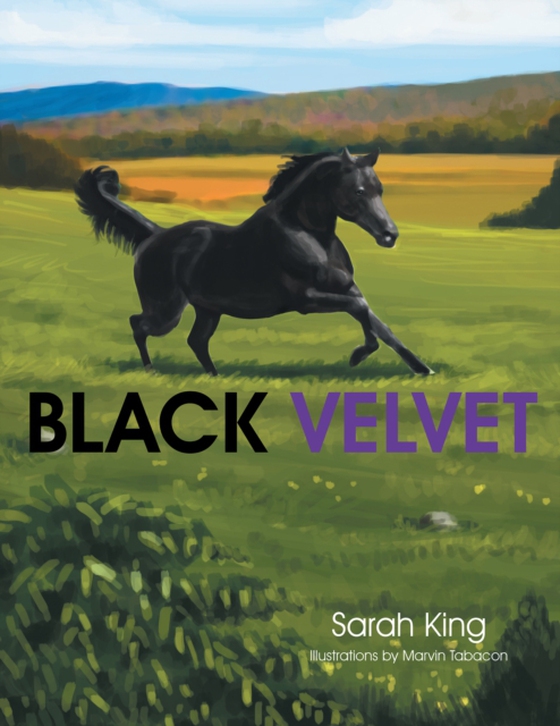 Black Velvet (e-bog) af King, Sarah