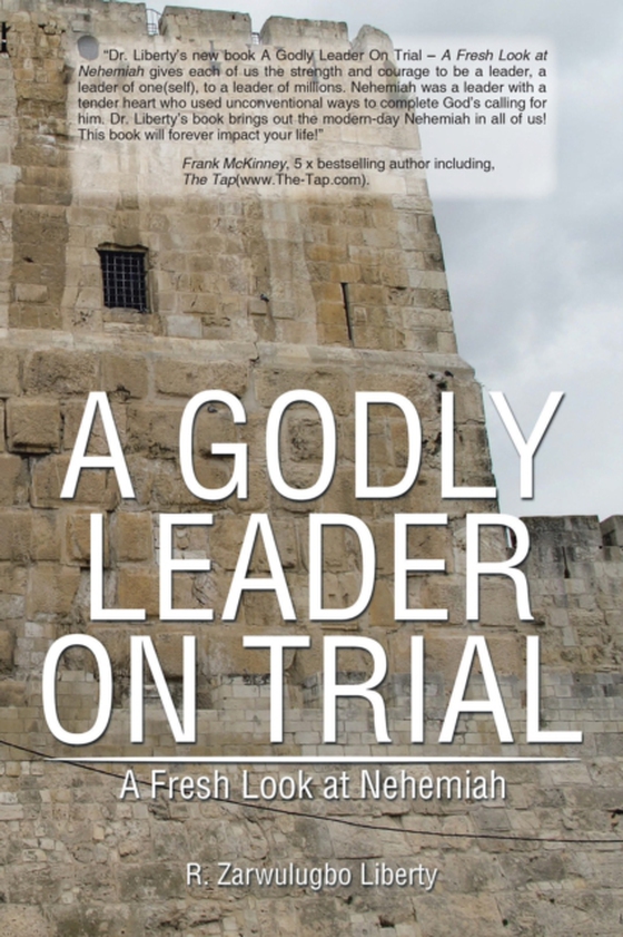 Godly Leader on Trial : a Fresh Look at Nehemiah