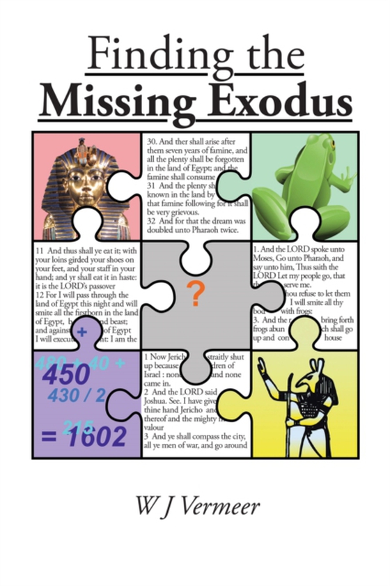 Finding the Missing Exodus (e-bog) af Vermeer, W J