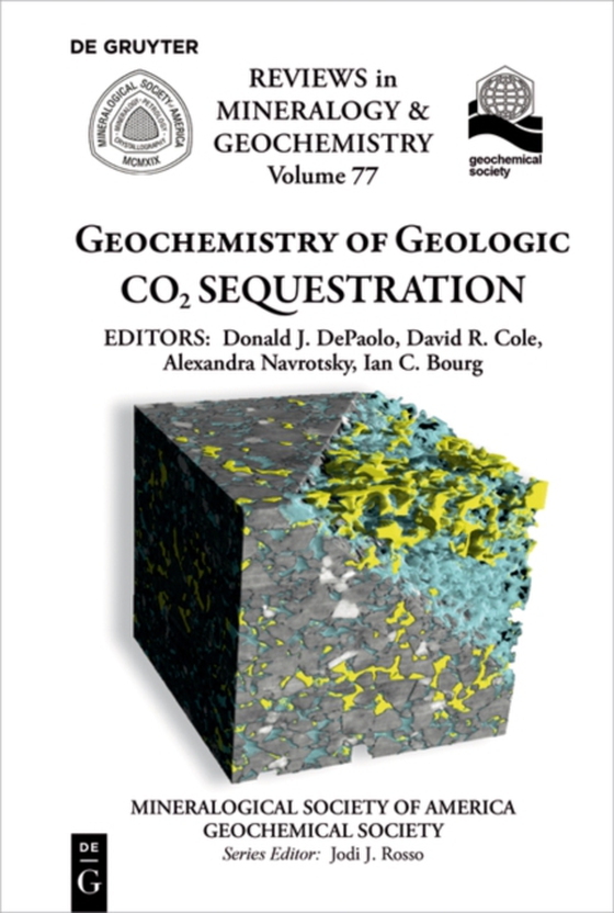 Geochemistry of Geologic CO2 Sequestration (e-bog) af -