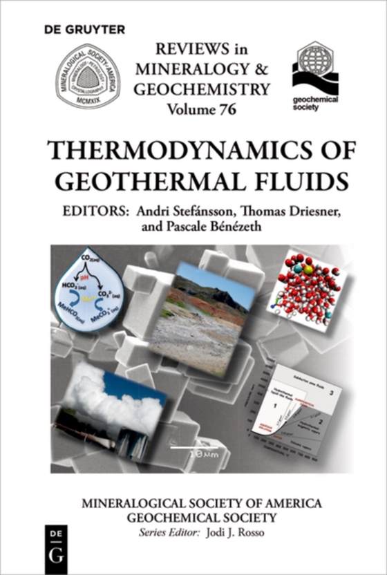 Thermodynamics of Geothermal Fluids (e-bog) af -