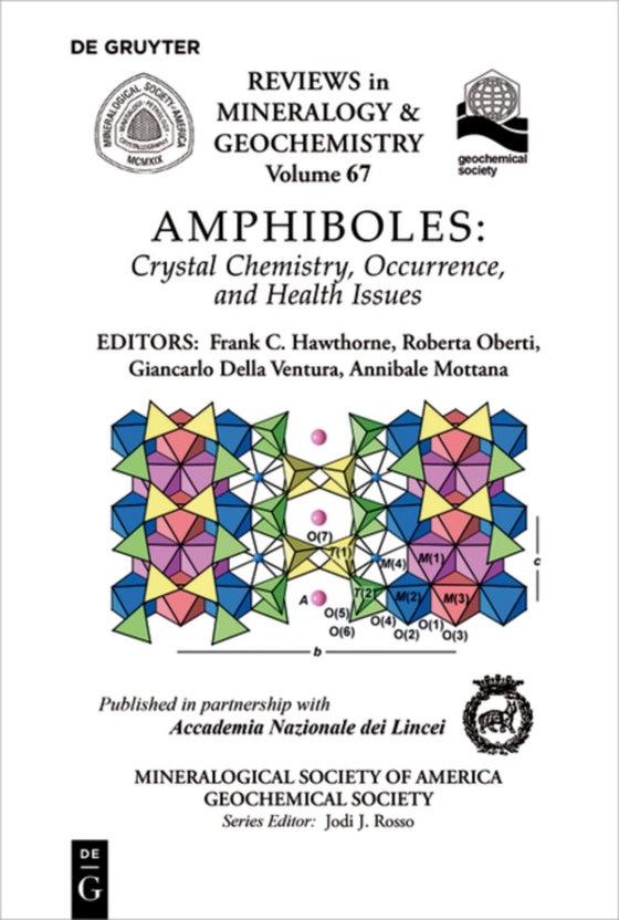 Amphiboles (e-bog) af -