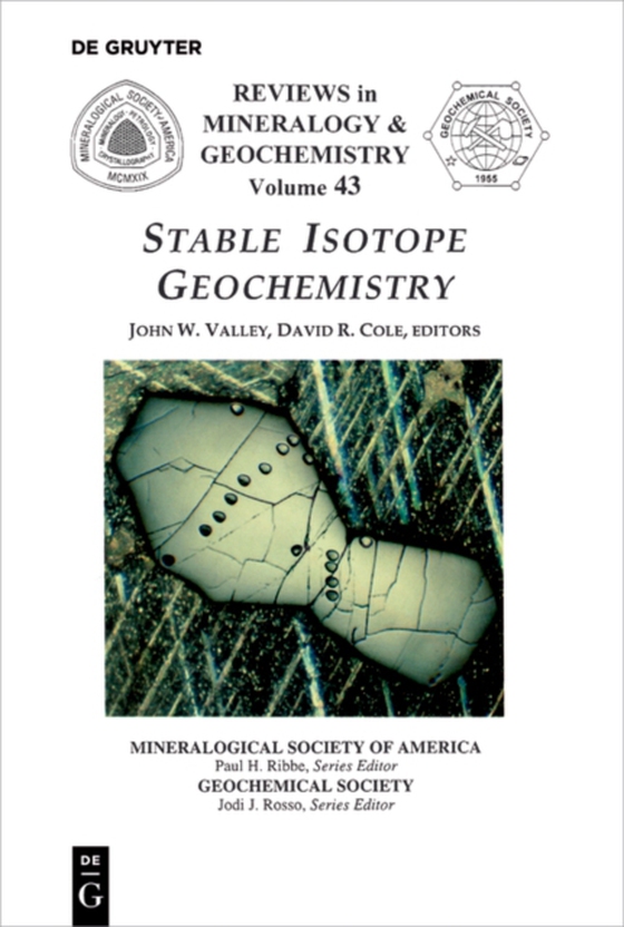 Stable Isotope Geochemistry (e-bog) af -