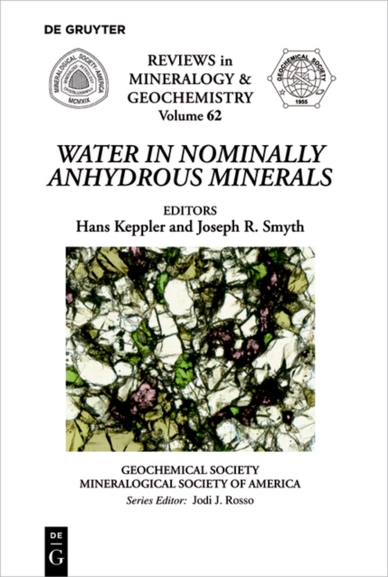 Water in Nominally Anhydrous Minerals (e-bog) af -