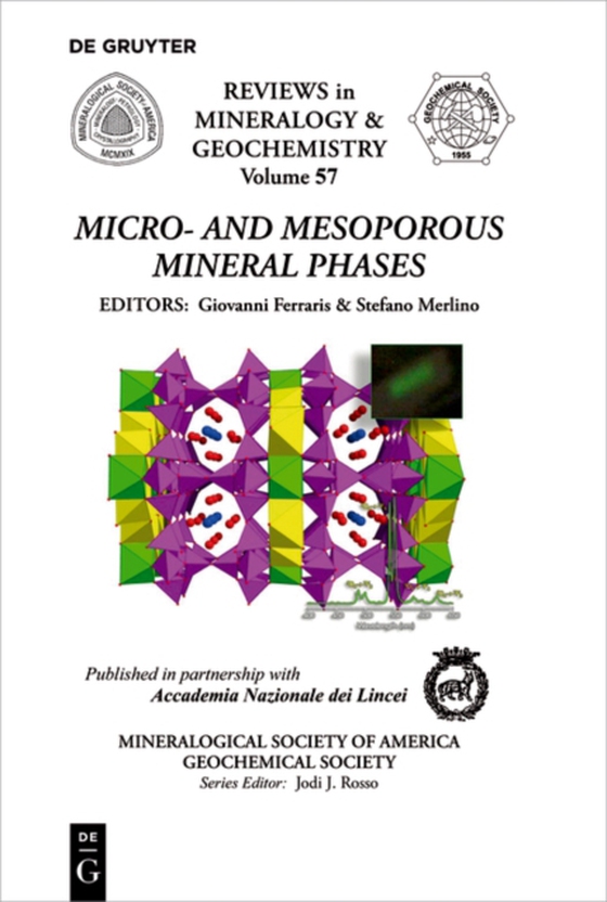 Micro- and Mesoporous Mineral Phases (e-bog) af -