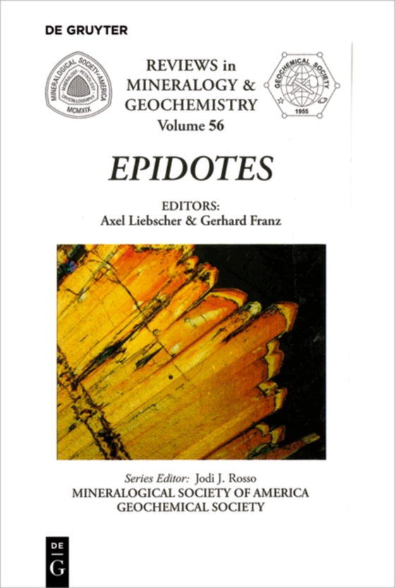 Epidotes (e-bog) af -