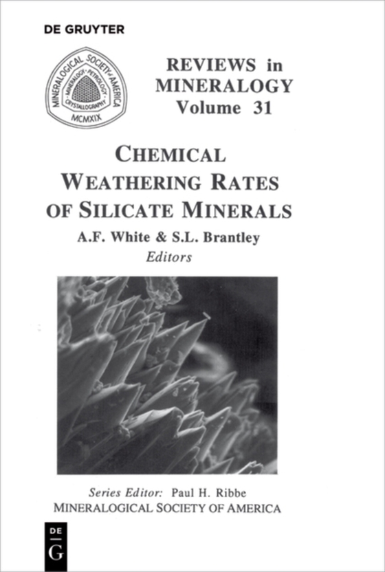 Chemical Weathering Rates of Silicate Minerals (e-bog) af -