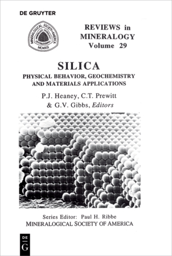 Silica (e-bog) af -