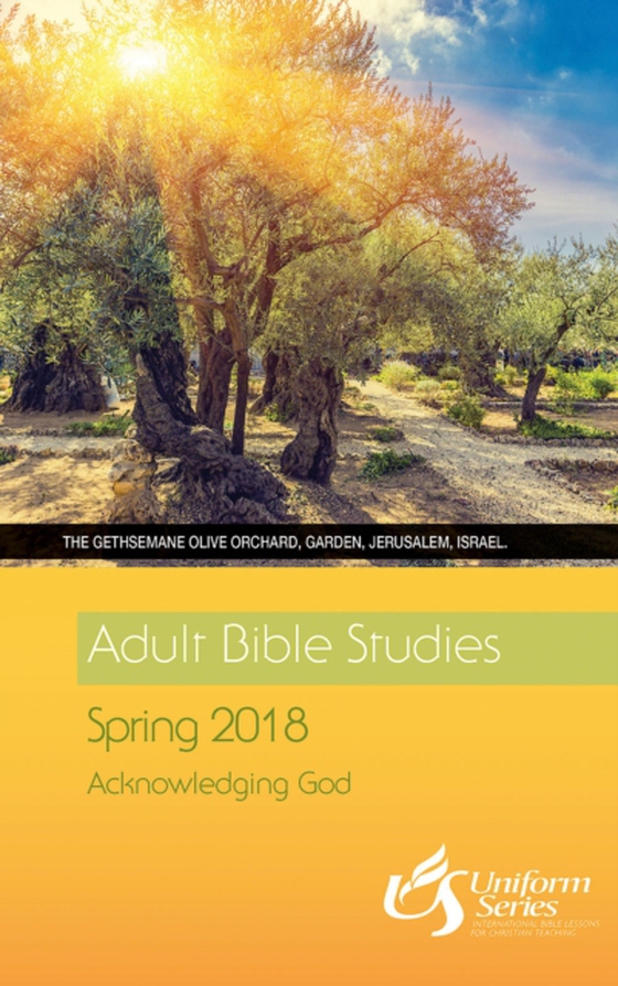 Adult Bible Studies Spring 2018 Student [Large Print] (e-bog) af Morris, Michelle