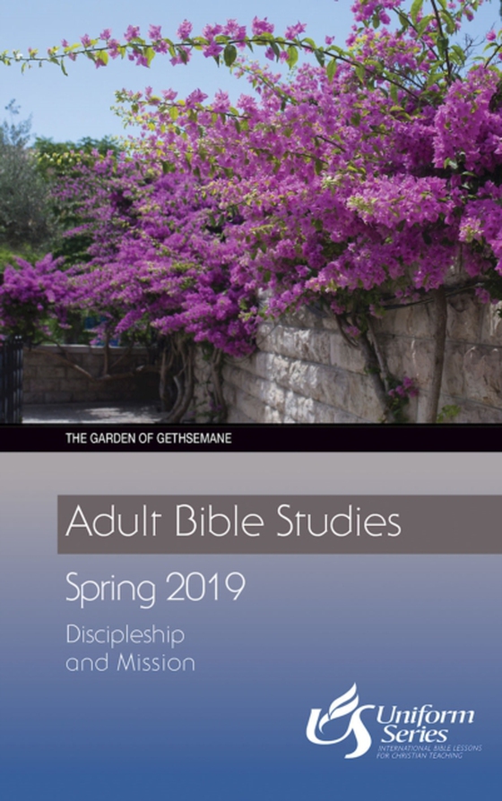 Adult Bible Studies Spring 2019 Student [Large Print]