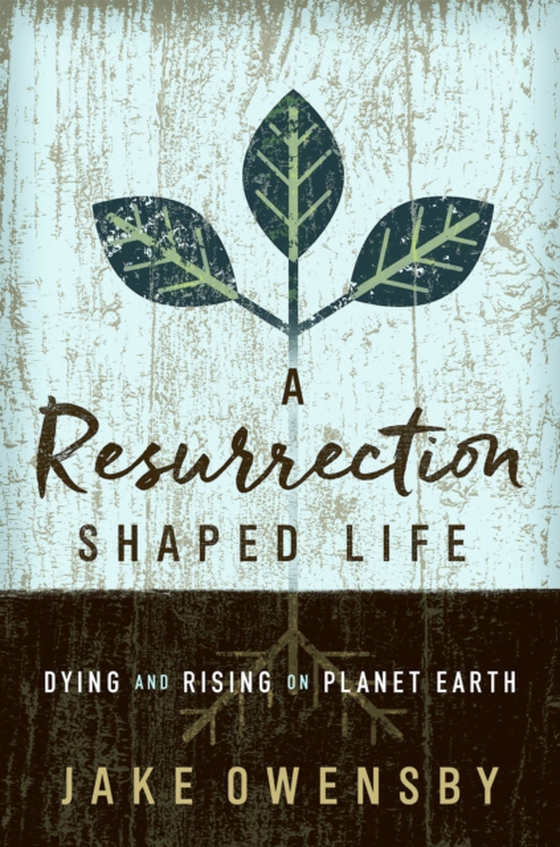 Resurrection Shaped Life (e-bog) af Owensby, Jake