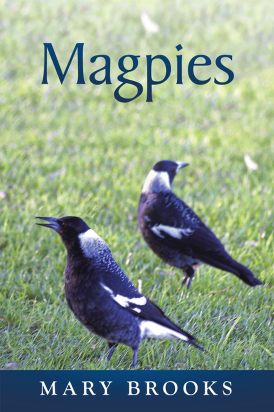 Magpies