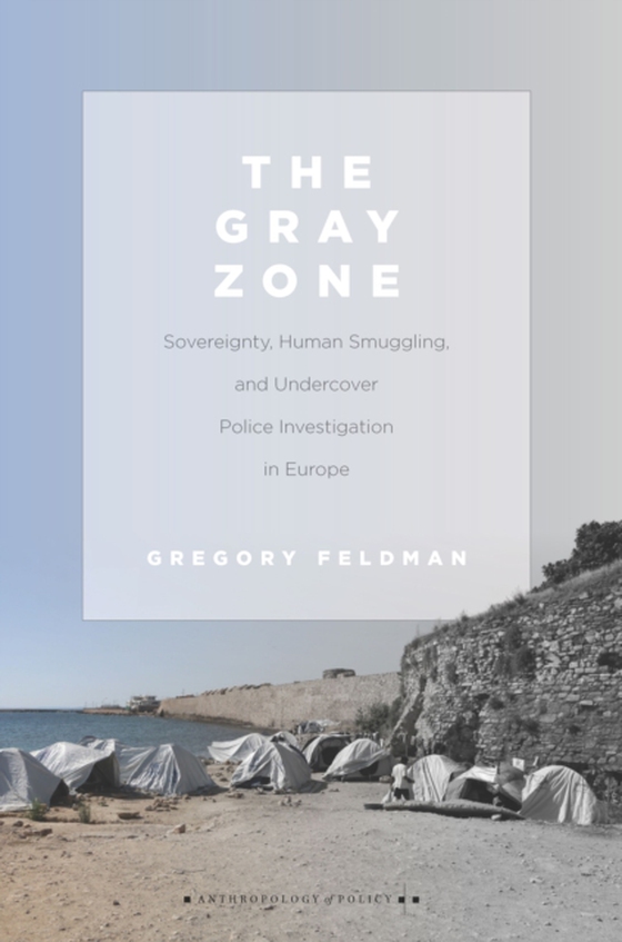 Gray Zone (e-bog) af Feldman, Gregory