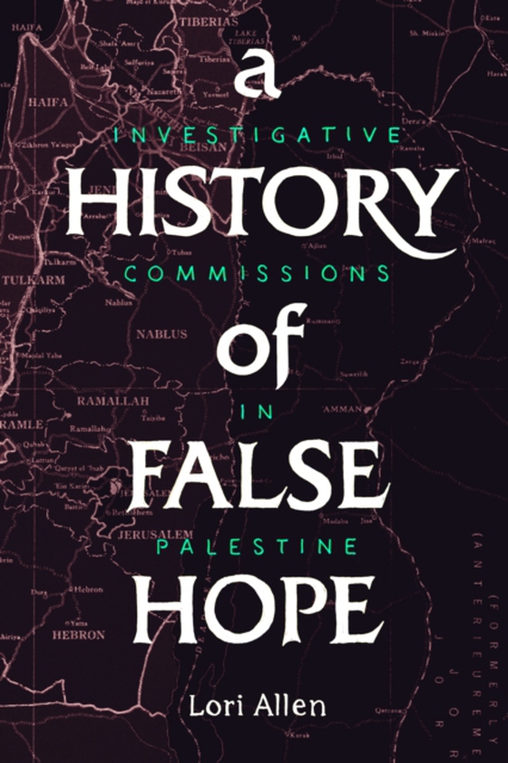 History of False Hope (e-bog) af Allen, Lori