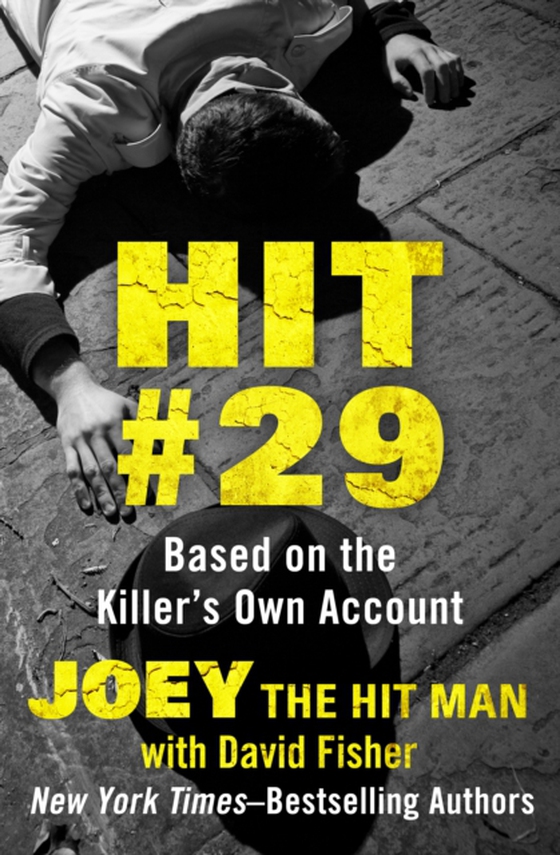 Hit #29 (e-bog) af Fisher, David