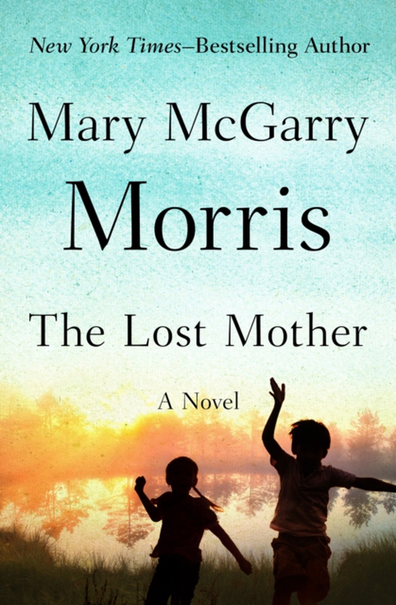 Lost Mother (e-bog) af Morris, Mary McGarry